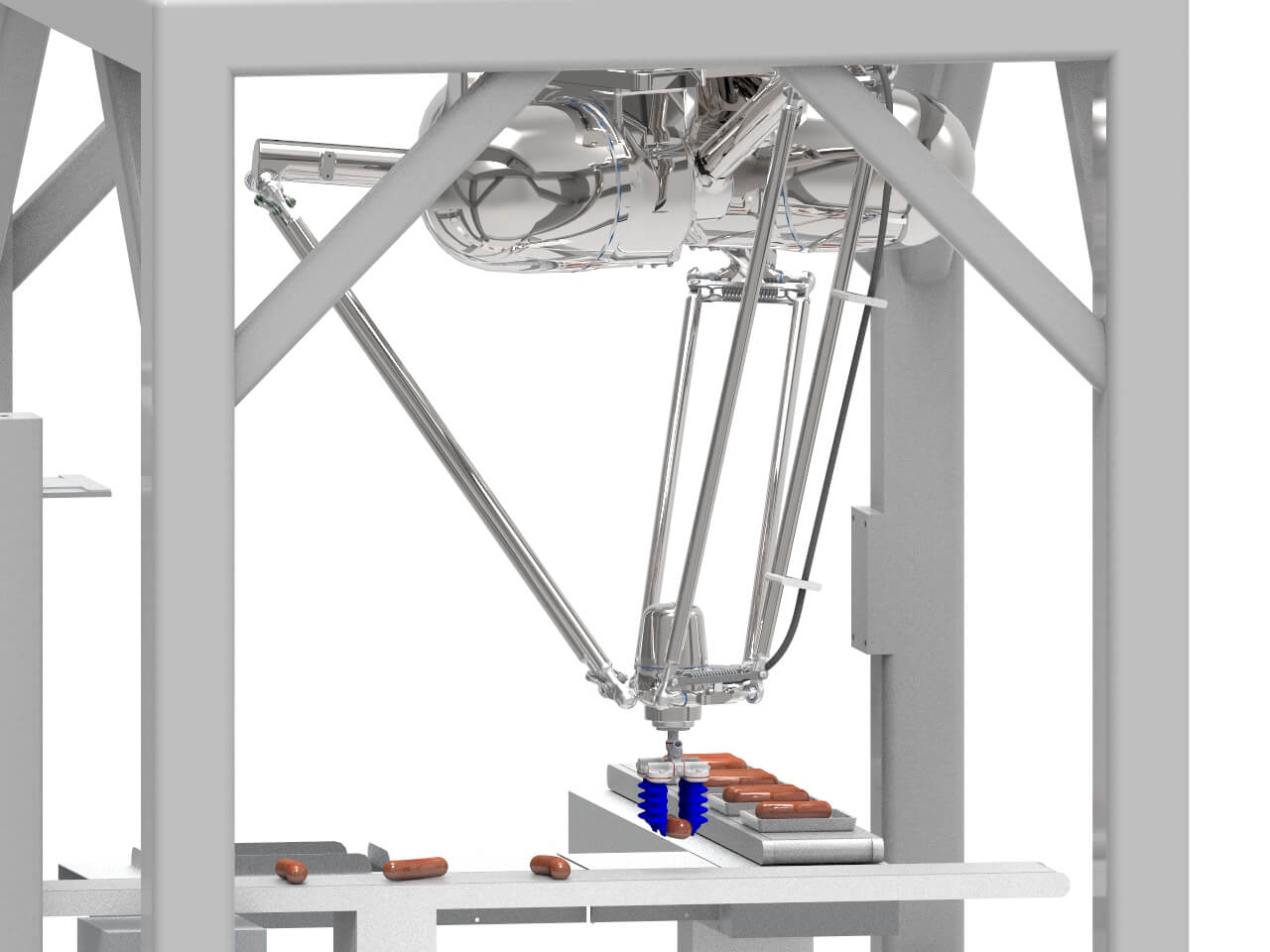 FANUC DR-3iB STAINLESS packaging hot dogs